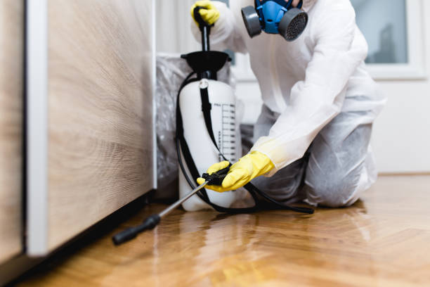 Best Pest Prevention Services  in San Bruno, CA