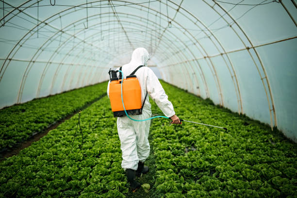 Best Best Pest Control Companies  in San Bruno, CA