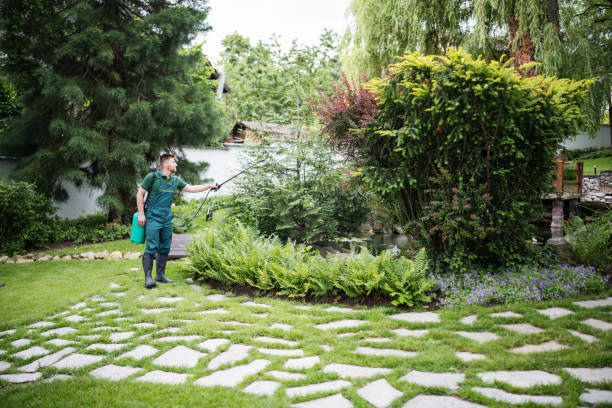 Best Flea Control Services  in San Bruno, CA
