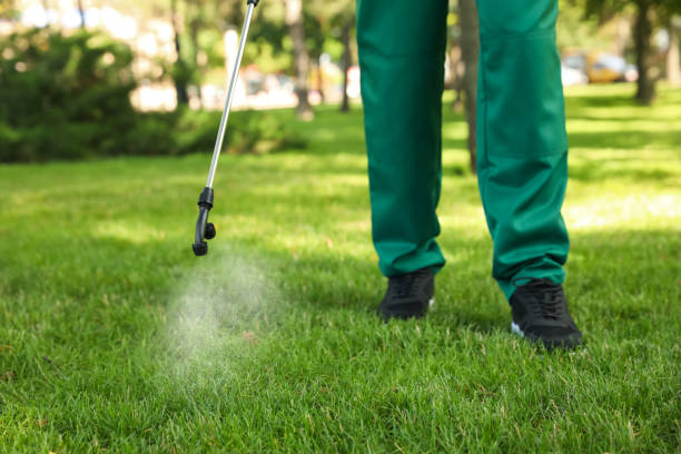 Best Rodent Control Near Me  in San Bruno, CA
