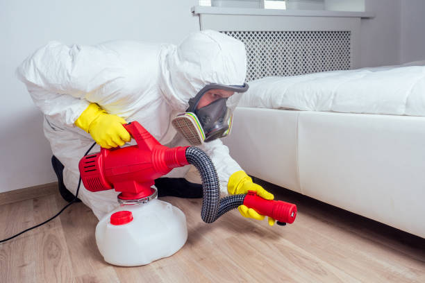 Best Wasp Removal Services  in San Bruno, CA
