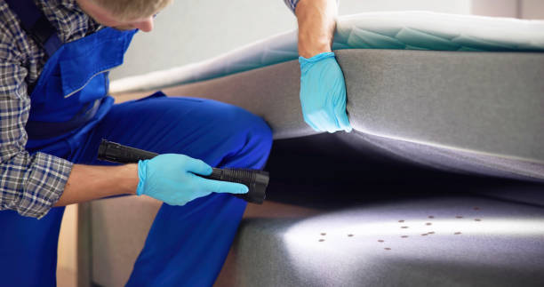 Best Termite Control Services  in San Bruno, CA