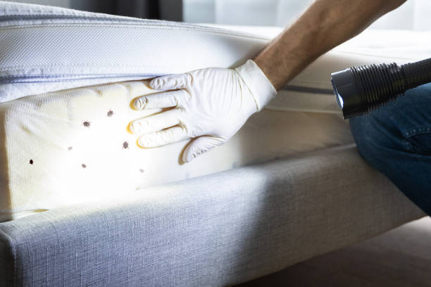Best Best Pest Control Companies  in San Bruno, CA