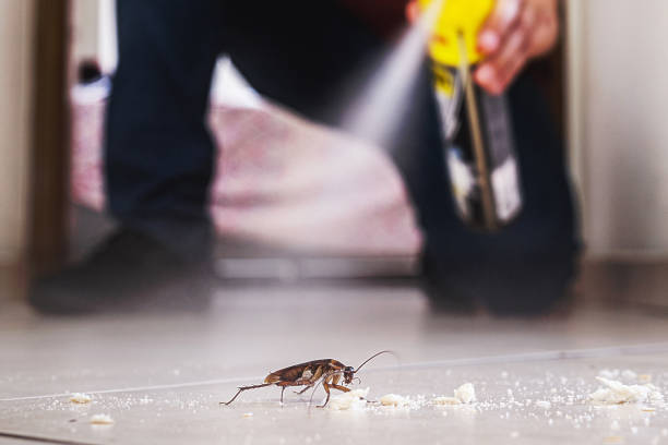 Best Emergency Pest Control  in San Bruno, CA