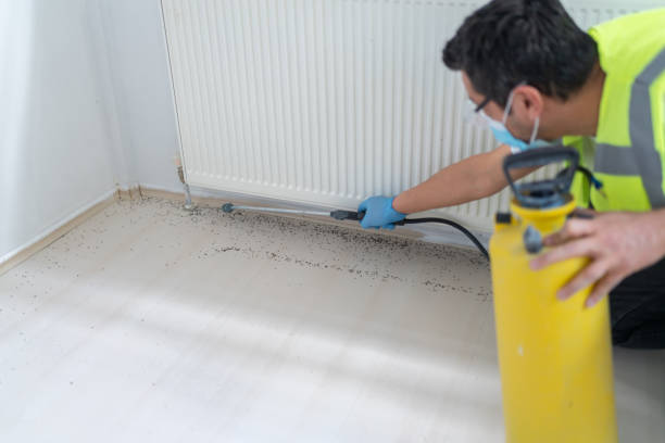 Best Wildlife Control Services  in San Bruno, CA